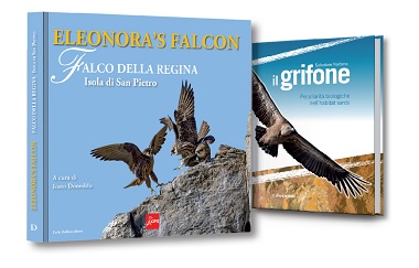 Grifone_falco web