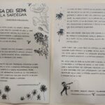 vetrina semi 2